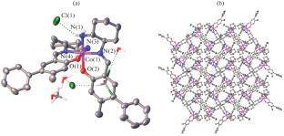 Chiral Cobalt(III) Complexes Based on (1R,2R)-Cyclohexanediamine and 4-Bromo-5-methylsalicylaldehyde: Synthesis, Modification, and Application in Catalysis and Enantioselective Sensors