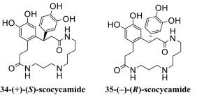 Naturally Occurring Alkaloids: Their Structural Elucidation and Biological Activity (2020–2024)