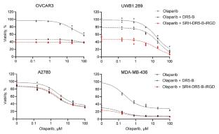Combined Effects of Cytokine TRAIL-Based DR5-Specific Fusion Protein with Olaparib on Tumor Cell Lines with Different BRCA Mutation Status