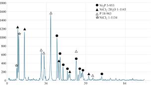 Catalytic Properties of Unsupported Catalysts Based on Transition Metal Phosphides in Hydrotreating of Pyrolysis Products of Chlorinated Polymer Wastes