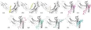 Cj0983 and Cj0090 Lipoproteins Contain Potential Linear Peptide Epitopes for Anti-Campylobacter jejuni Vaccine Applications