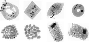 Research on X-ray Image Fusion Algorithm for Food Foreign Object Detection
