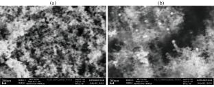 A Structural Study of Catalytically Active Palladium Nanoparticles for Electrode Materials Used in Fuel Cells