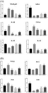 Improvement effect of Biluochun tea active extract on CCl4-induced acute liver injury