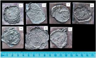 Effect of Flux Composition on Wetting and Spreading of Magnesium over Copper