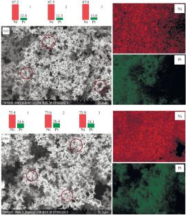 Hydrothermal Synthesis and Structural Characteristics of Nickel−Platinum Bimetallic Powders