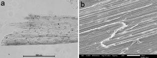 Aşıklı Höyük phytoliths: basketry and matting in households and burials