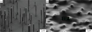 Stretchable Pixel-Array Light-Emitting Diode Based on Single-Walled Carbon Nanotubes for Flexible Electronics