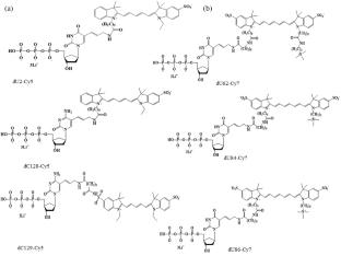 Fluorescence Labeling of GC-Rich DNA Matrix with Different Nucleotide Derivatives for Hybridization Analysis on a Biological Microarray
