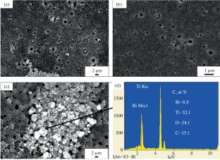 Plasma Electrolytic Synthesis and Characterization of Bismuth-Containing Oxide Films on Titanium