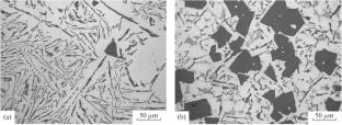 The Effect of Silicon in an Aluminum Alloy on the Composition and Structure of Coatings Formed by Microarc Oxidation