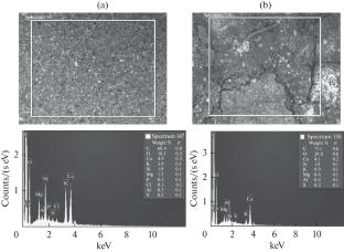 Synthesis and Investigation of Some Properties of Biochar from Tree Leaf Waste