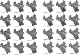 Effects of flooding on rice biomass in Hanoi city on the basis of deep learning application and Sentinel-1A data