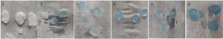 Application of the Phosphomolybdate Blue Colorimetric Method to the Detection of Alkaline Phosphatase Activity