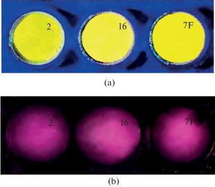 Identification of Turmeric and Revelation of Adulterations by Digital Colorimetry and Near-IR Spectrometry