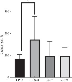 Study of Metabolic Plasticity of the Brain in Animals with Modeled Parkinson’s Disease