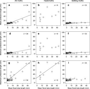 Relationships between the lengths of floral tubes and moth mouthparts: implications for flower preferences of nocturnal moths