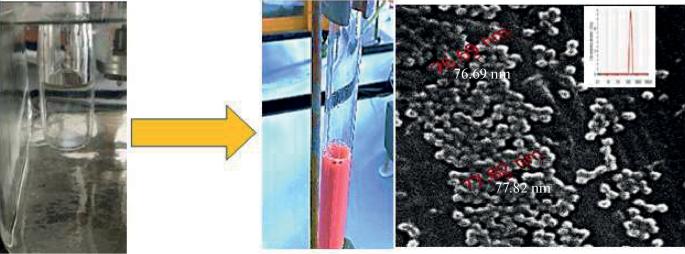 Transformation of Aqueous Methyl Methacrylate Solution into Stable Monodisperse Latex via Polymerization Initiated by Hydroquinone–Potassium Persulfate System