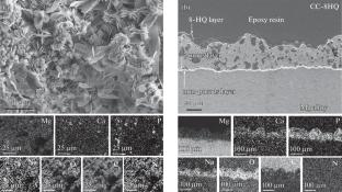 Multifunctional Coatings with Self-Healing Effect on Magnesium Alloy MA8