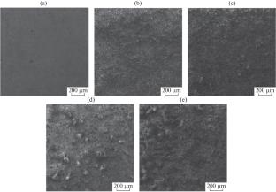 Estimation of Porosity of Microarc Oxide Coating Based on Optical Image Recognition