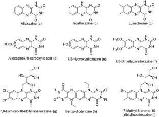 Isoalloxazine and their analogous as energy storage materials: a review