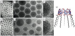 Role of Phospholipid Derivatives of Cyclodextrins in the Formation of Stable Lipid Nanoparticles for Drug Delivery