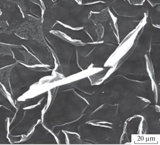Modification of the Surface Structure of Carbon Materials under Ion Irradiation