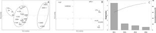 Bioaccumulation of lead and oxidative stress response in Santolina chamaecyparissus