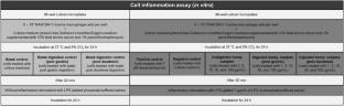 Effect of simulated gastrointestinal digestion on phenolic compounds, anti-inflammatory, and antioxidant potential of Brazilian honeydew honey