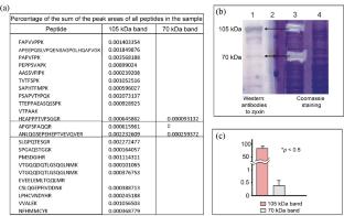 Mass Spectrometric Analysis of Post-Translational Modifications of Xenopus laevis Cytoskeletal Protein Zyxin