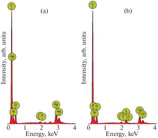 Nonwoven Materials As Carriers of Biogenic Nanoparticles of Silver and Cadmium Sulfide with Antimicrobial Properties