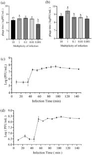 Characterization and genetic analysis of two sugarlandviruses: Klebsiella variicola lytic phages vB_PZK-KV7 and vB_PZK-KV23