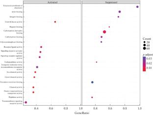 Transcriptome Analysis of Bone Marrow Plasma Cells in Multiple Myeloma Patients before Treatment