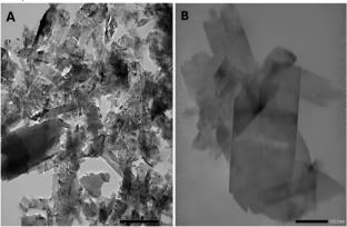 In Vitro and In Vivo Investigation of Biosynthesized Copper Oxide Nanoparticles Using Rose Hip: Characterization and their Potential in Modulating Tubulin and VEGFR-II for Breast Cancer Therapy