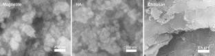 Natural-Based Magnetite/Hydroxyapatite/Chitosan Nanocomposite as Effective Drug Delivery Systems