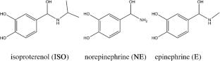 Structural and biological properties of isoproterenol, comparison with epinephrine and norepinephrine