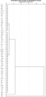 Evaluation of groundwater quality of Mirpurkhas District, Sindh, Pakistan, for drinking, irrigation and multivariate analysis