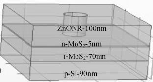 Piezotronics-enabled performance enhancement in ZnONR/n-MoS2/i-MoS2/p-Si photovoltaics