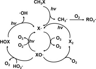 Marine Biogenic Volatile Organic Compounds: Production, Emission, Atmospheric Transformation, and Climate Effects