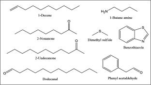 A review of antifungal activity of bacterial strains and their secondary metabolites against Fusarium species