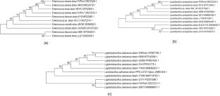 In-vitro assessment of probiotic potential of bacteria isolated from chicken gastrointestinal tract