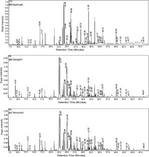 Gas Chromatography-Mass Spectrometry (GC–MS) and 1H Nuclear Magnetic Resonance (NMR)-Based Profiling and Phytochemical Screening Revealed Industrially Important Metabolites in Wild Seabuckthorn (Hippophae salicifolia D.Don) Berries