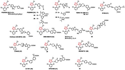 The Role of Five-Membered Aromatic Rings Containing N and O in Modulating Bile Acid Receptors: An Overview