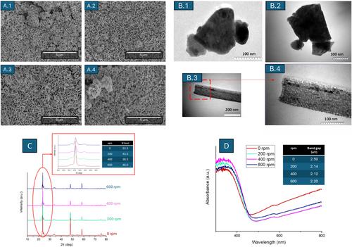 Efficient Anodized WO3 Photoanode for Photoelectrocatalytic Applications: Hydrogen Production and Reduction of CO2