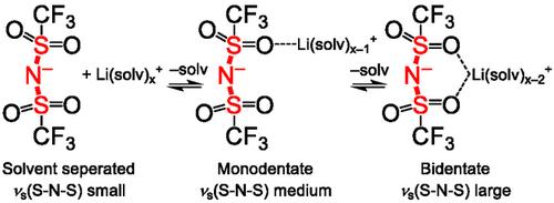 Electrolyte-Dependent Electrode Potentials in Lithium–Sulfur Batteries