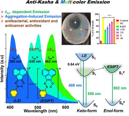 Breaking of Kasha's Rule: Excitation Wavelength-Dependent Emission from Acenaphthylene-Based Hydrazones and their Biological Studies