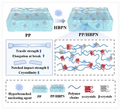 Regulated Β-Phase Crystallization of Strong and Tough Polypropylene Through Hyperbranched Topology