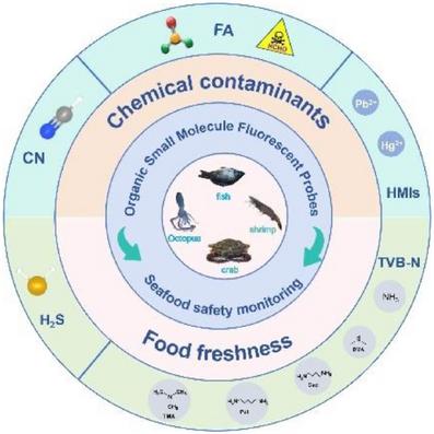 Recent Advances of Organic Small-Molecule Fluorescent Probes for Detecting Typical Contaminants in Seafood