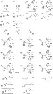 Hydroxyl radicals scavenging activity and corresponding mechanism of polyphenols in black pepper