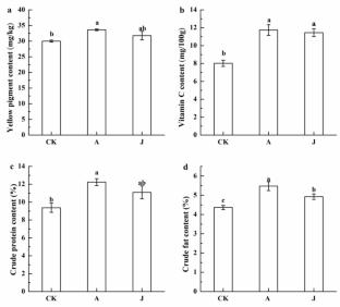 Evaluating antofine's dual effects: Controlling Sclerospora graminicola infection while improving physiological performance and yield in foxtail millet